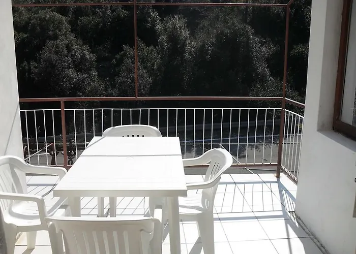 - Insel Dugi Otok 6296 Hébergement de vacances Zaglav